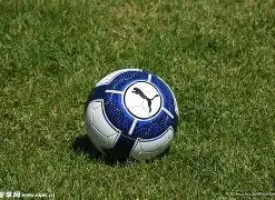 北京佑安医,院第七届工,会男子篮球,开云体育,开云体育官网,开云体育app,开云体育平台,KAIYUN,SPORTS,kaiyun登录入口