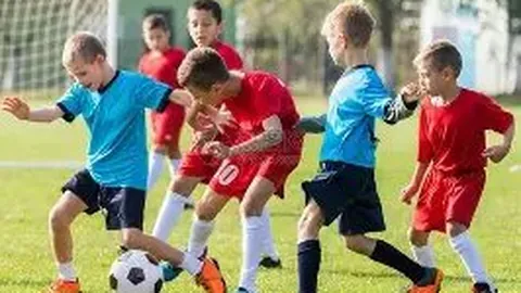 开运体育登录 资讯 142219 8wr