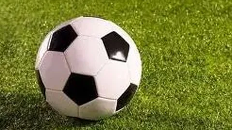 开运体育登录 资讯 142203 ltb