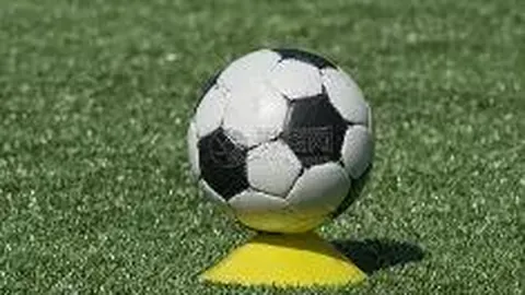 开运体育登录 产品 141217 tsg