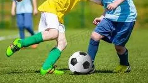 开运体育登录 资讯 104945 bxs